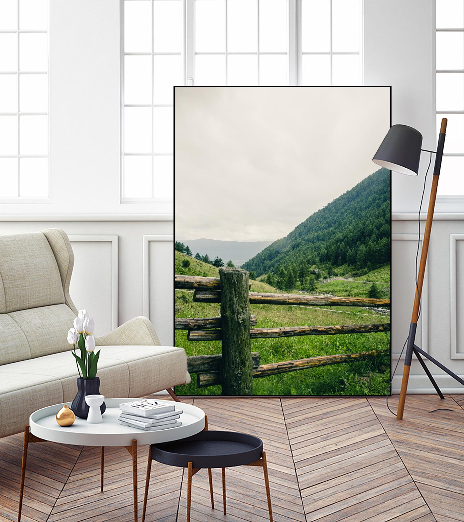 This view by Pexels on GIANT ART - white landscape