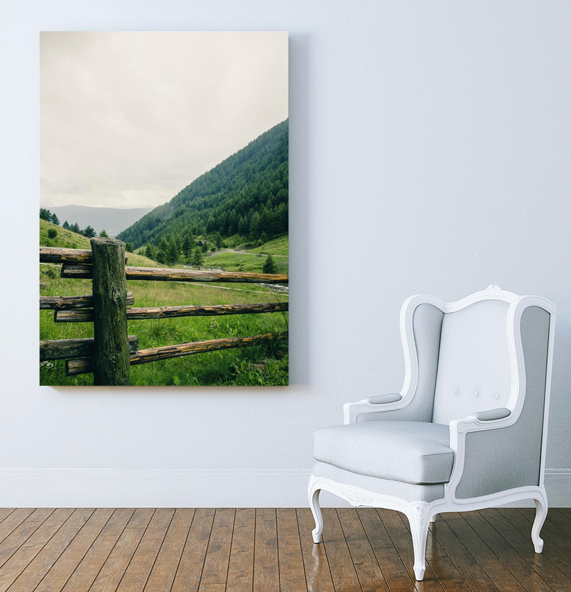 This view by Pexels on GIANT ART - white landscape