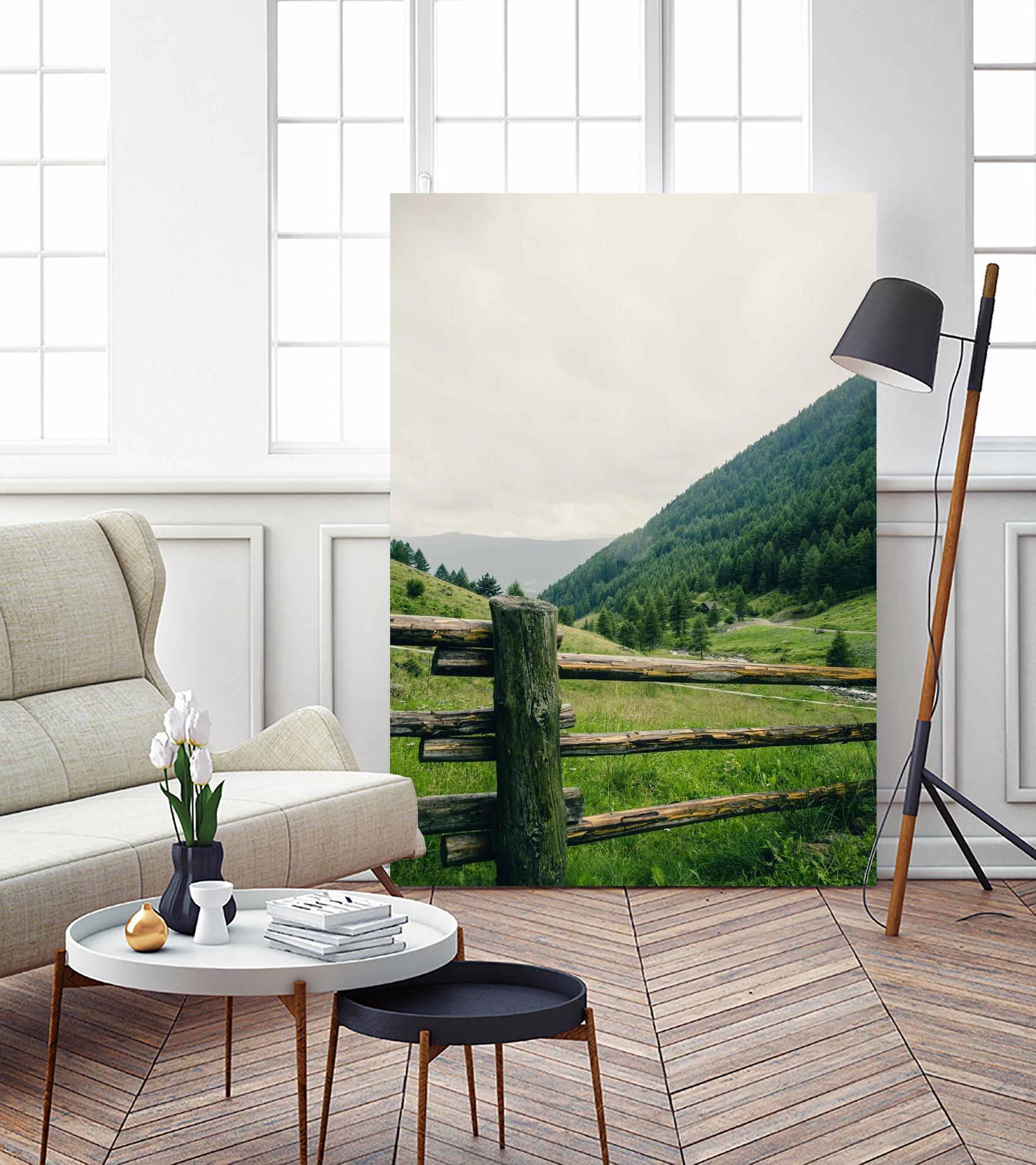 This view by Pexels on GIANT ART - white landscape