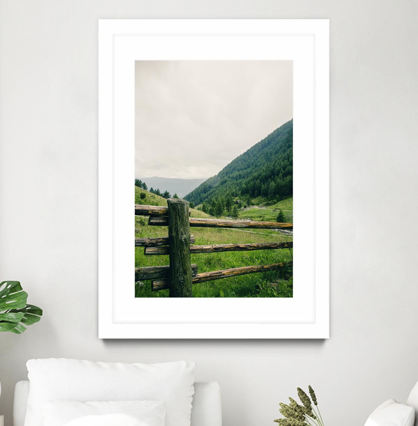 This view by Pexels on GIANT ART - white landscape