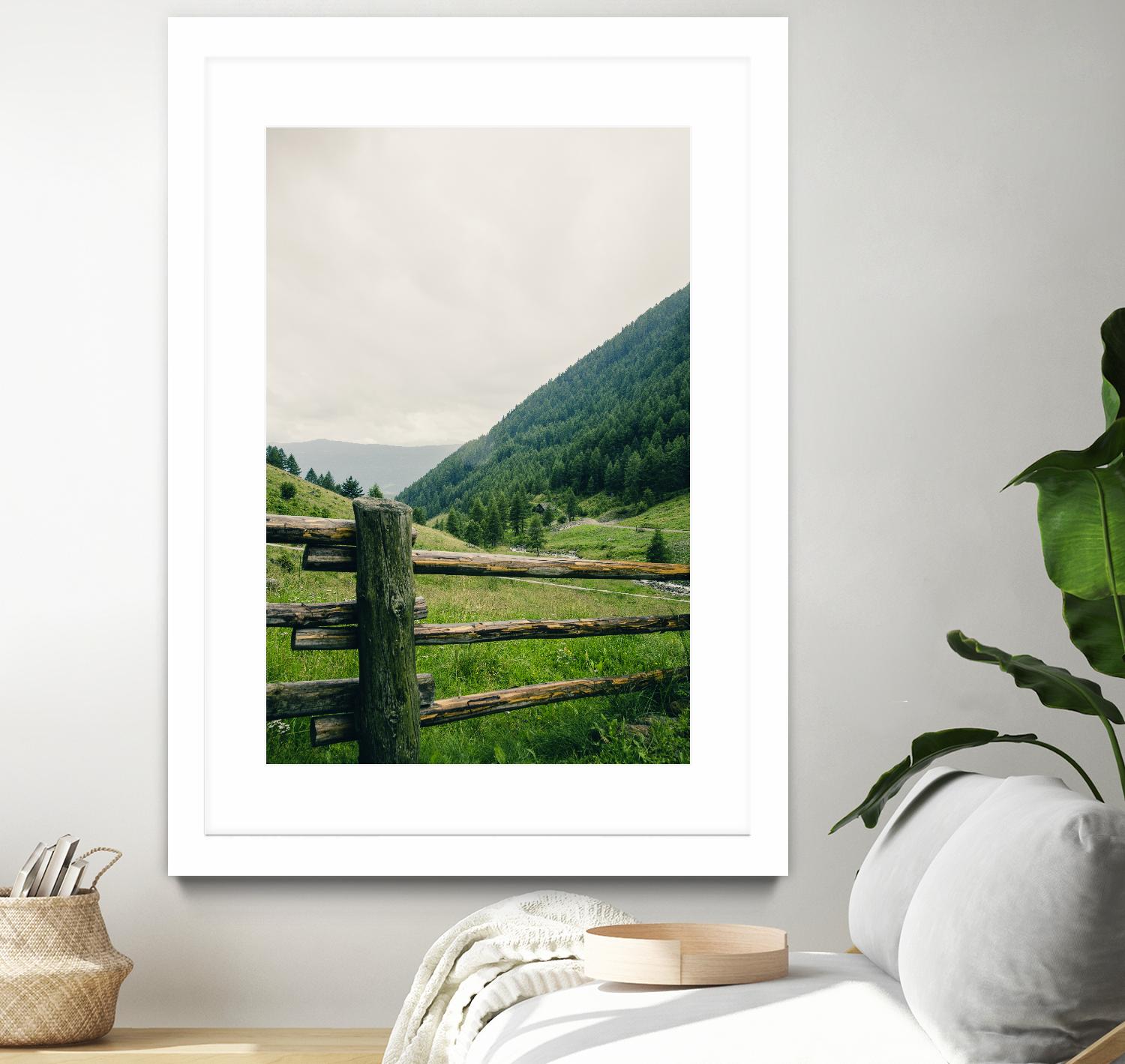 This view by Pexels on GIANT ART - white landscape