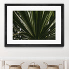 Palm by Pexels on GIANT ART - black tropical