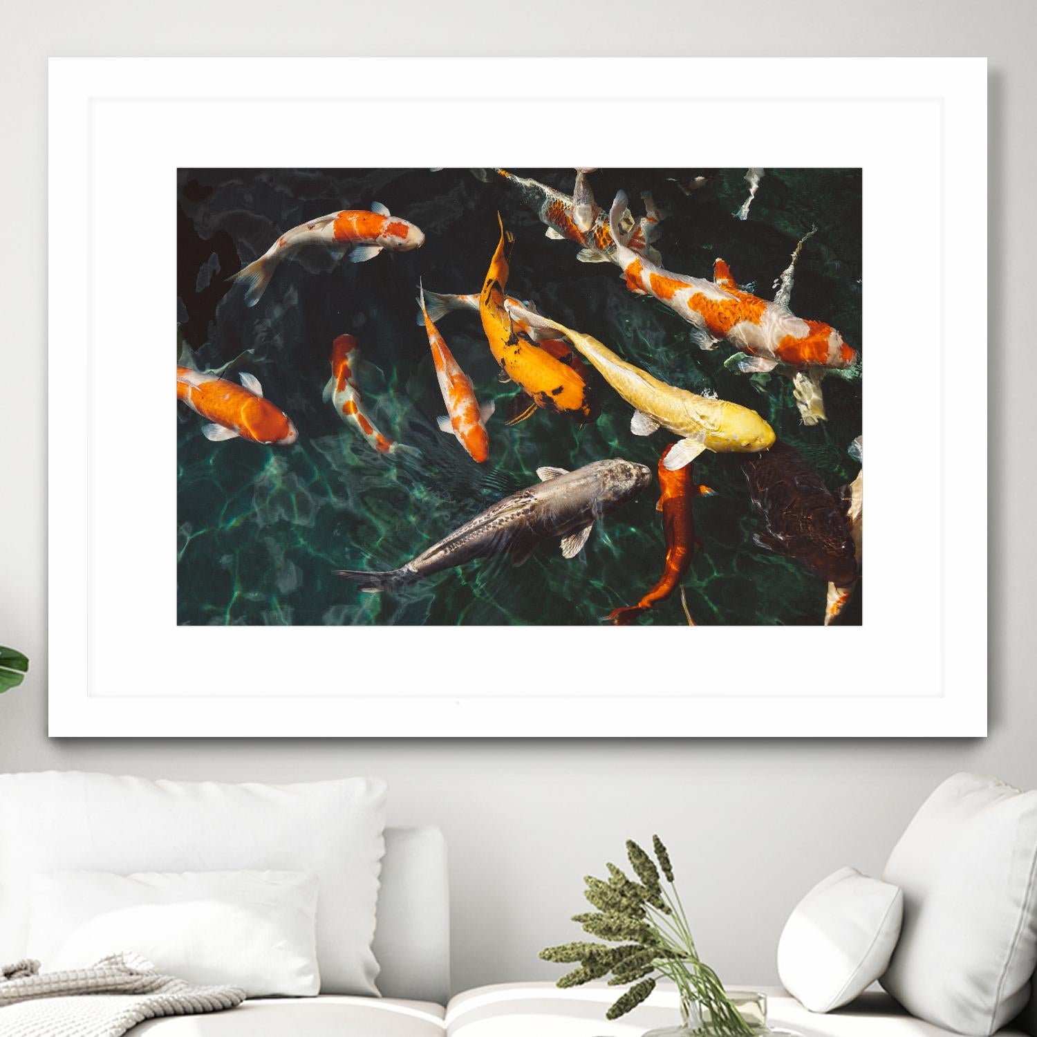 Koi by Pexels on GIANT ART - green animals