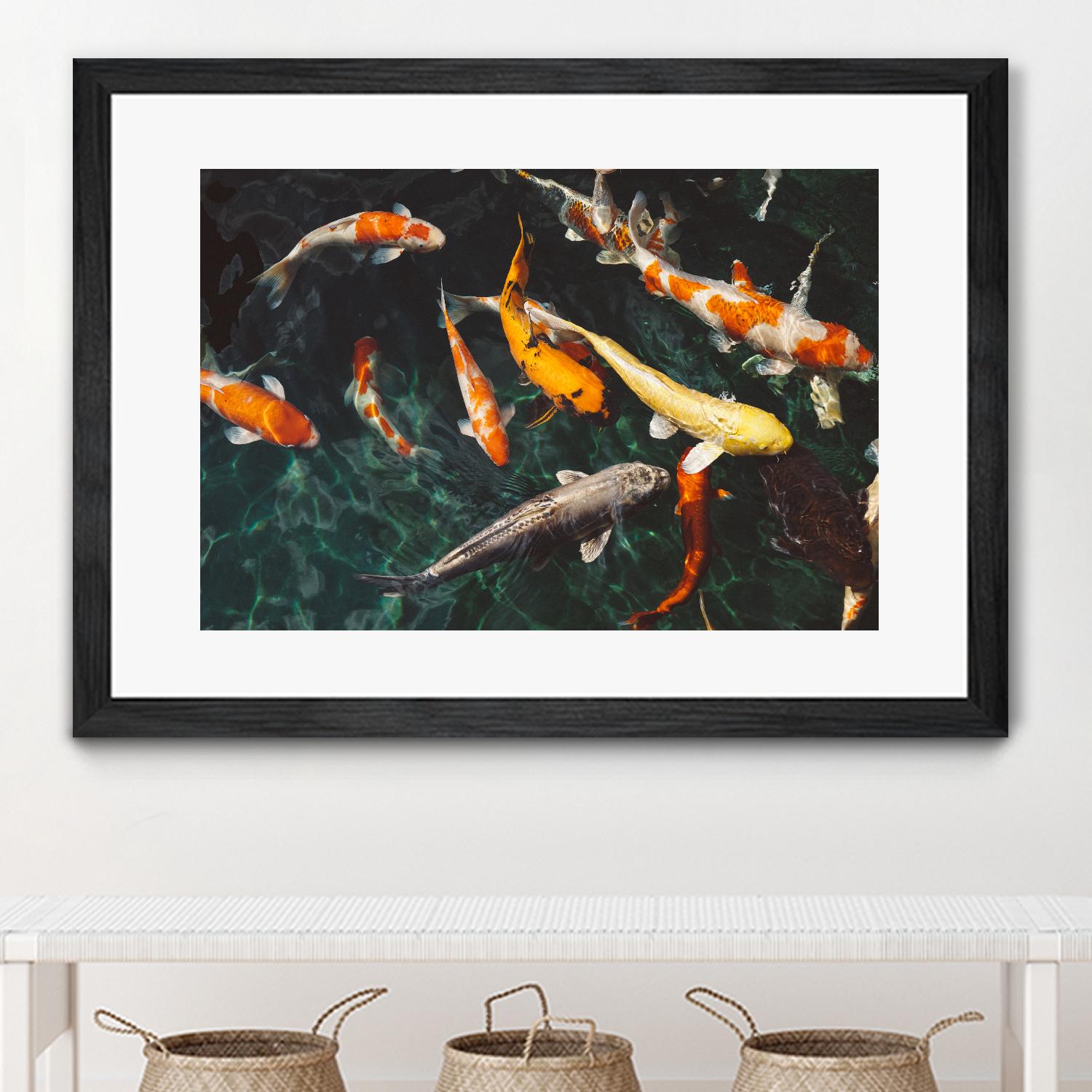 Koi by Pexels on GIANT ART - green animals