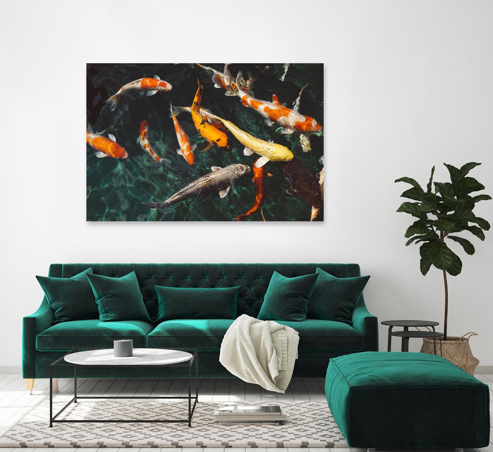 Koi by Pexels on GIANT ART - green animals