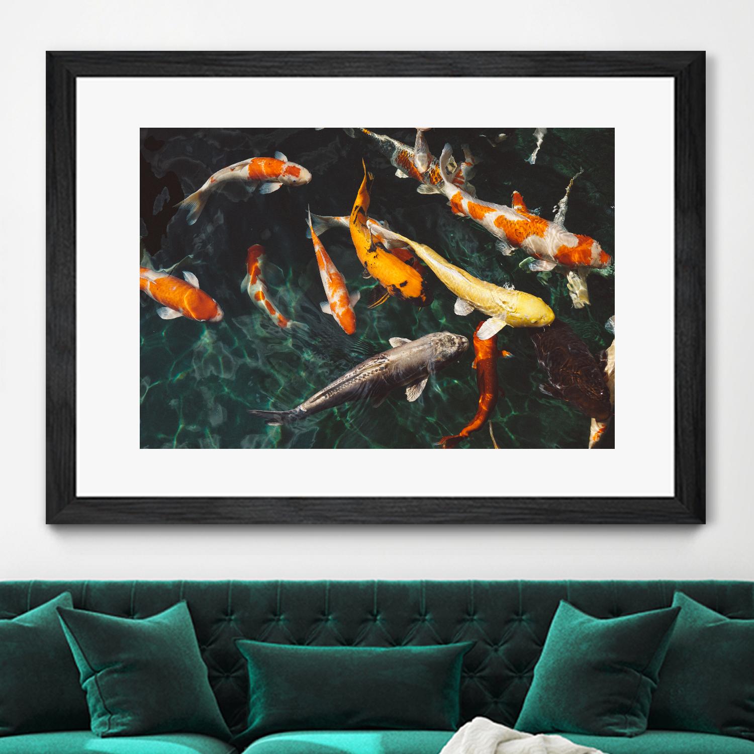 Koi by Pexels on GIANT ART - green animals