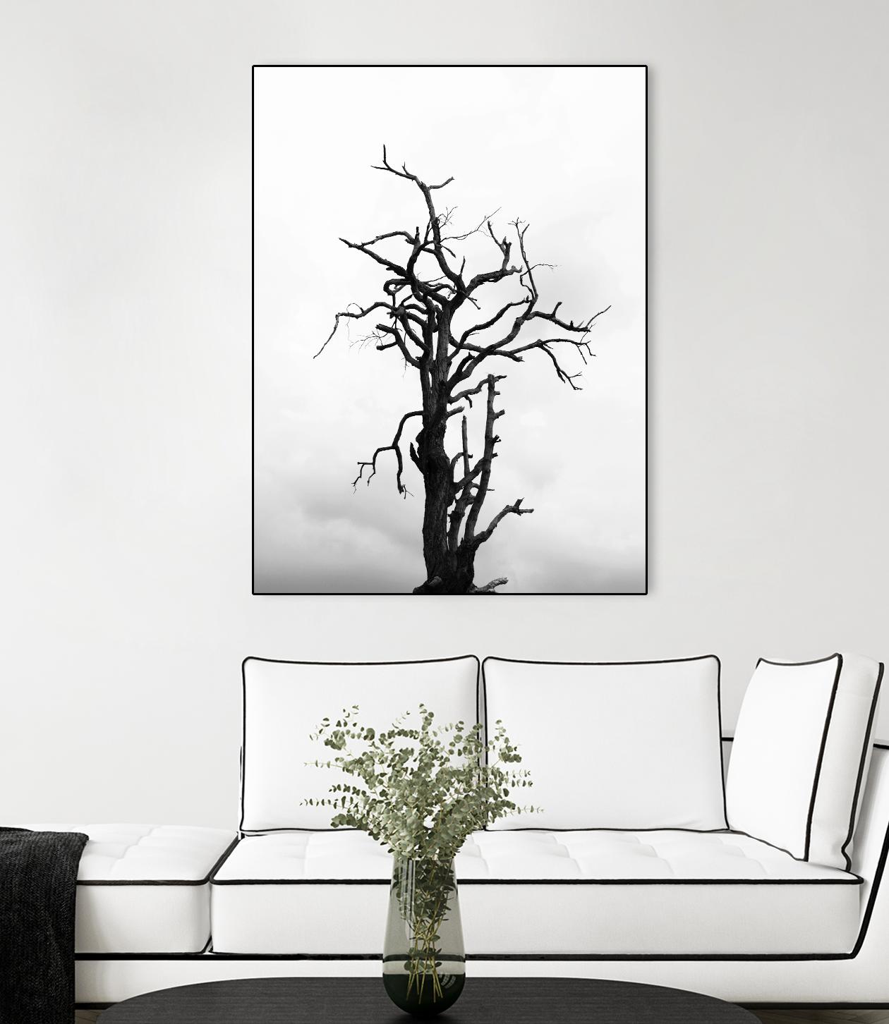 Dead tree by Pexels on GIANT ART - white trees