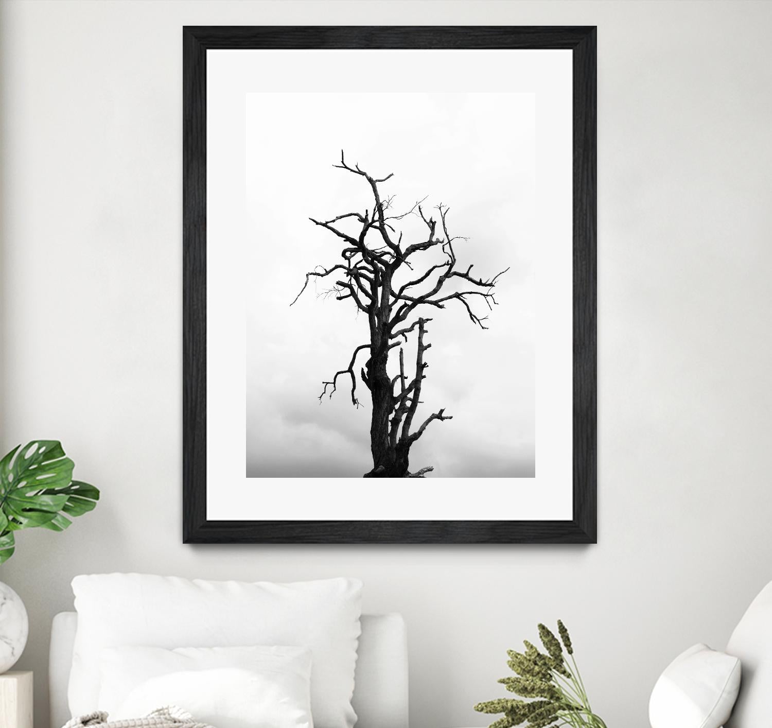 Dead tree by Pexels on GIANT ART - white trees