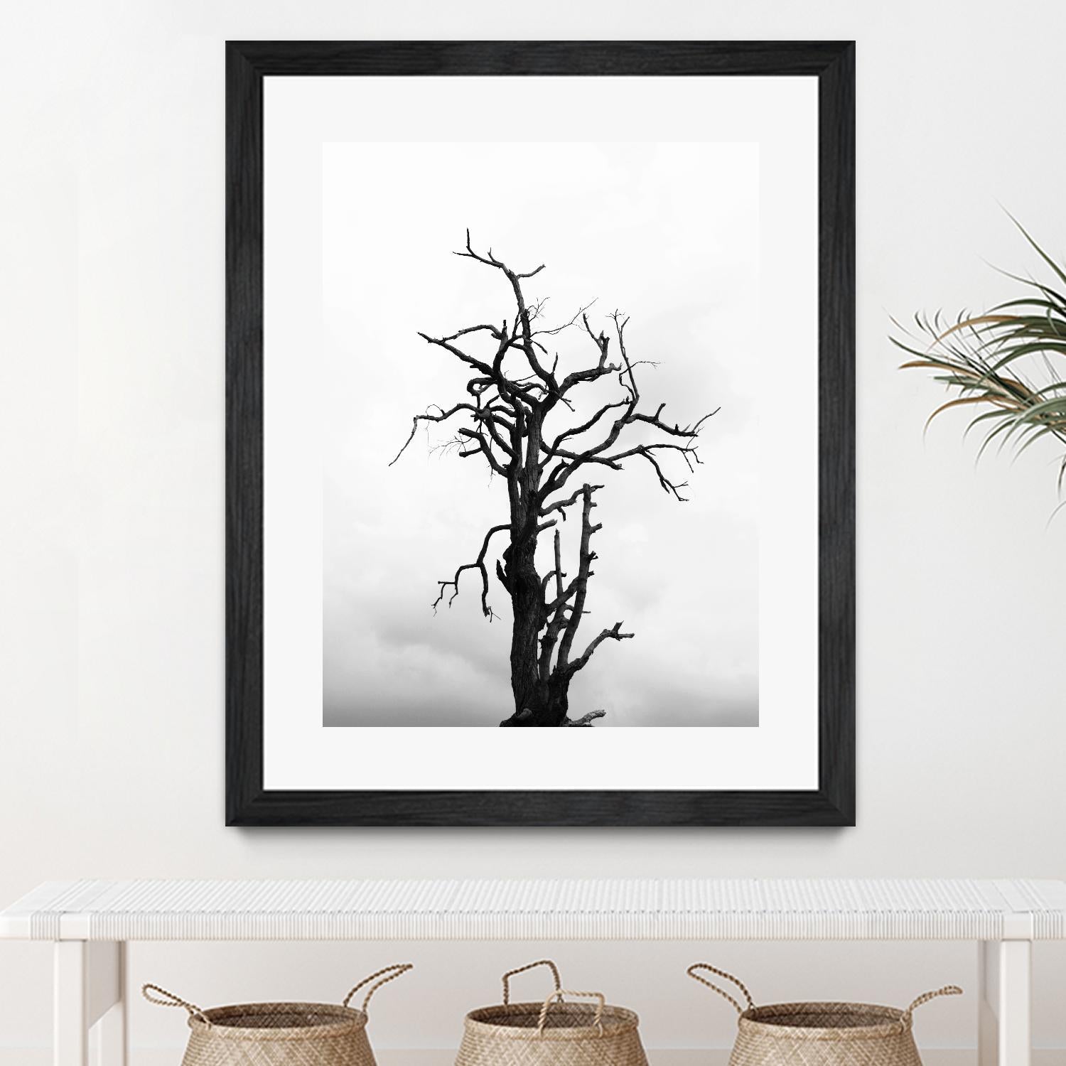 Dead tree by Pexels on GIANT ART - white trees