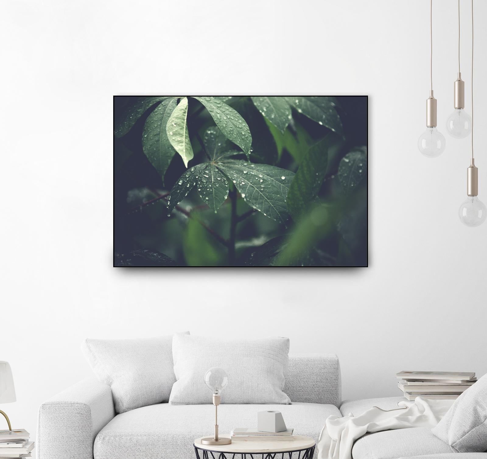 Leaves by Pexels on GIANT ART - black botany