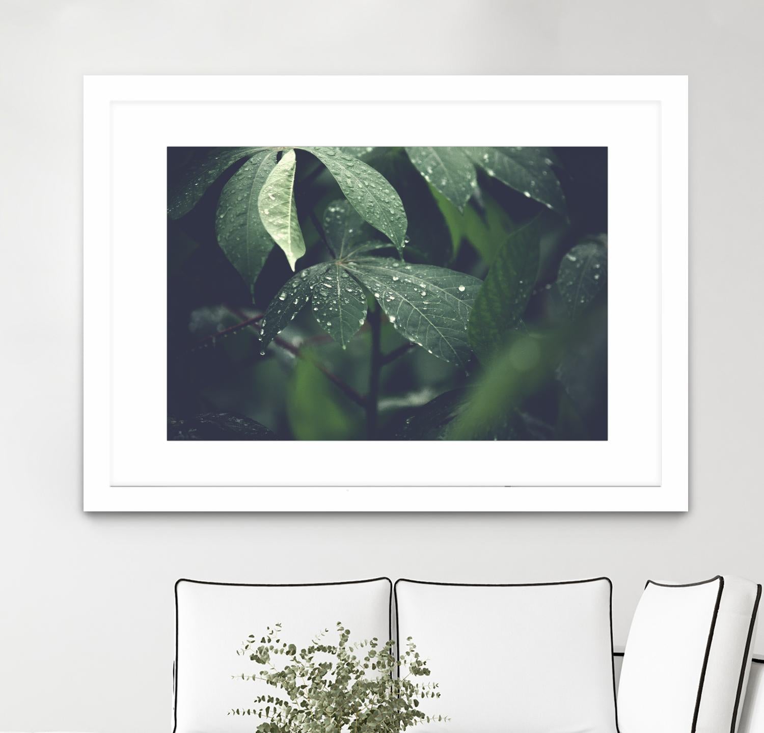 Leaves by Pexels on GIANT ART - black botany