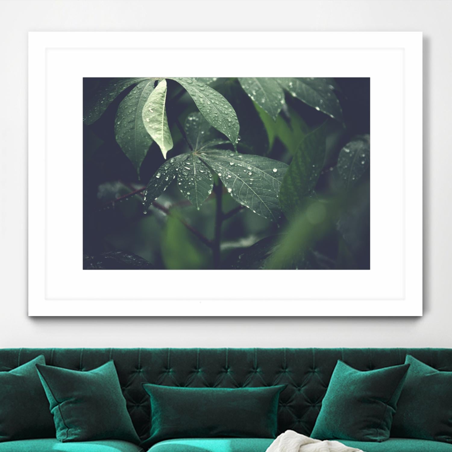 Leaves by Pexels on GIANT ART - black botany