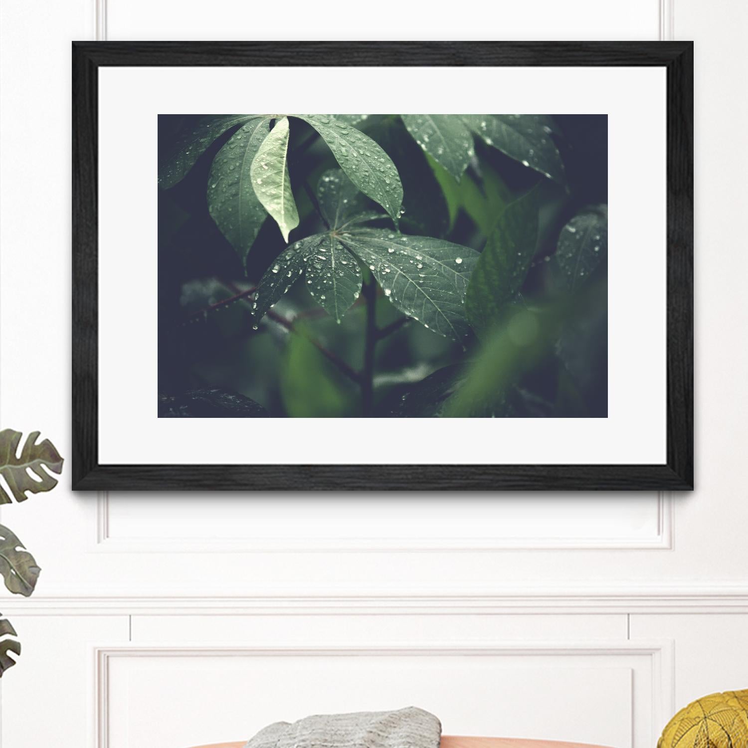 Leaves by Pexels on GIANT ART - black botany