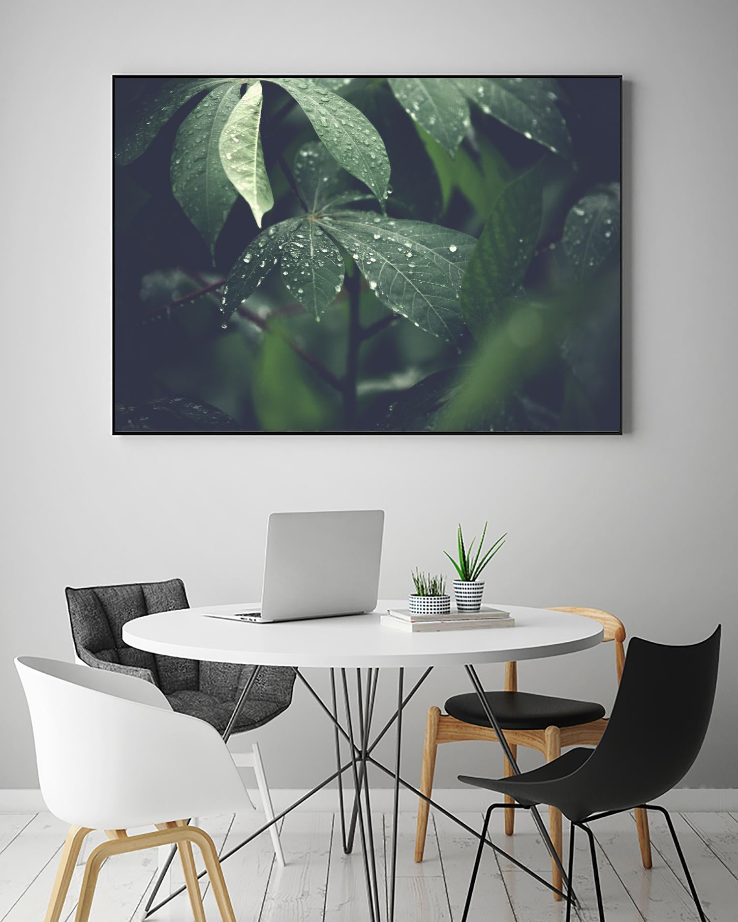 Leaves by Pexels on GIANT ART - black botany