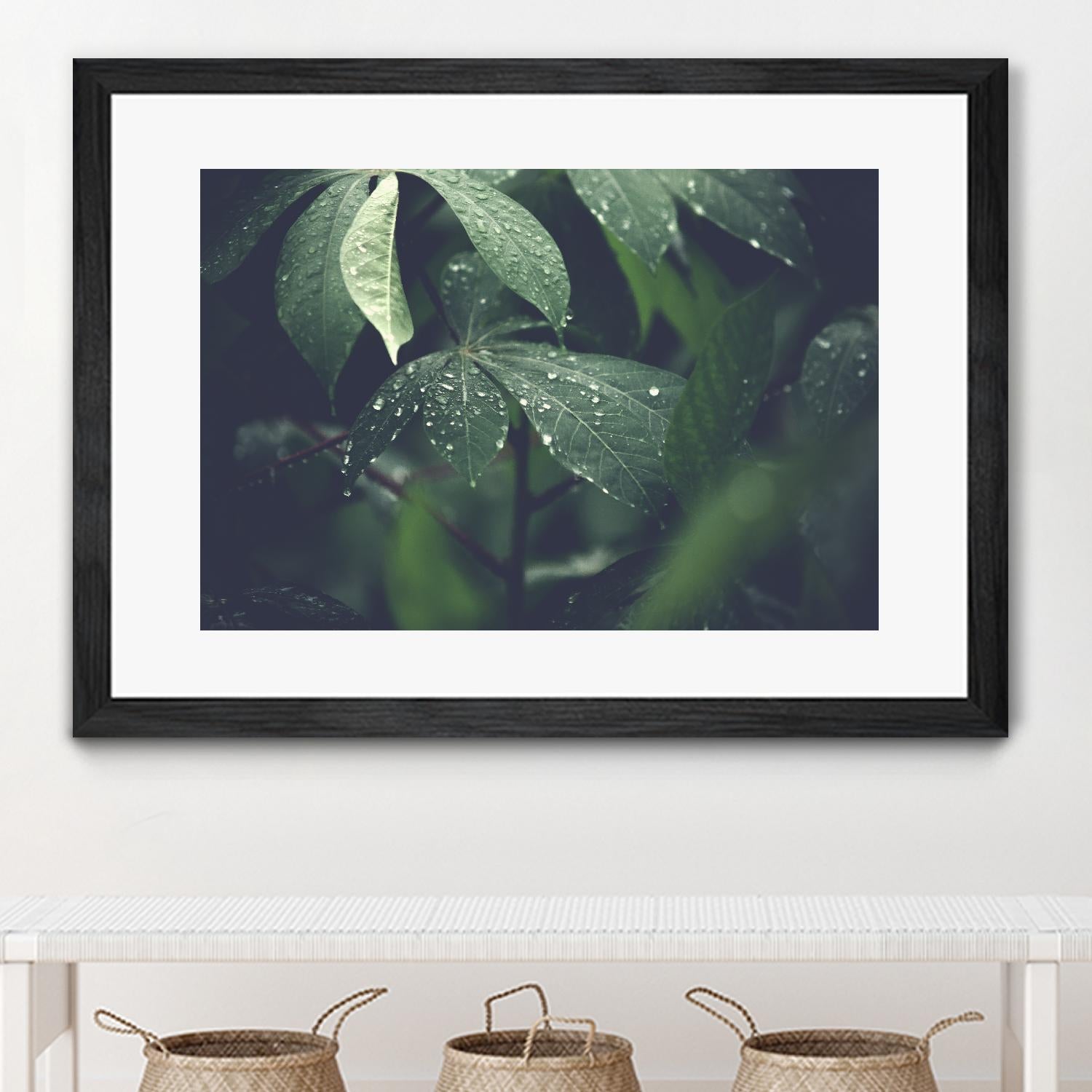 Leaves by Pexels on GIANT ART - black botany