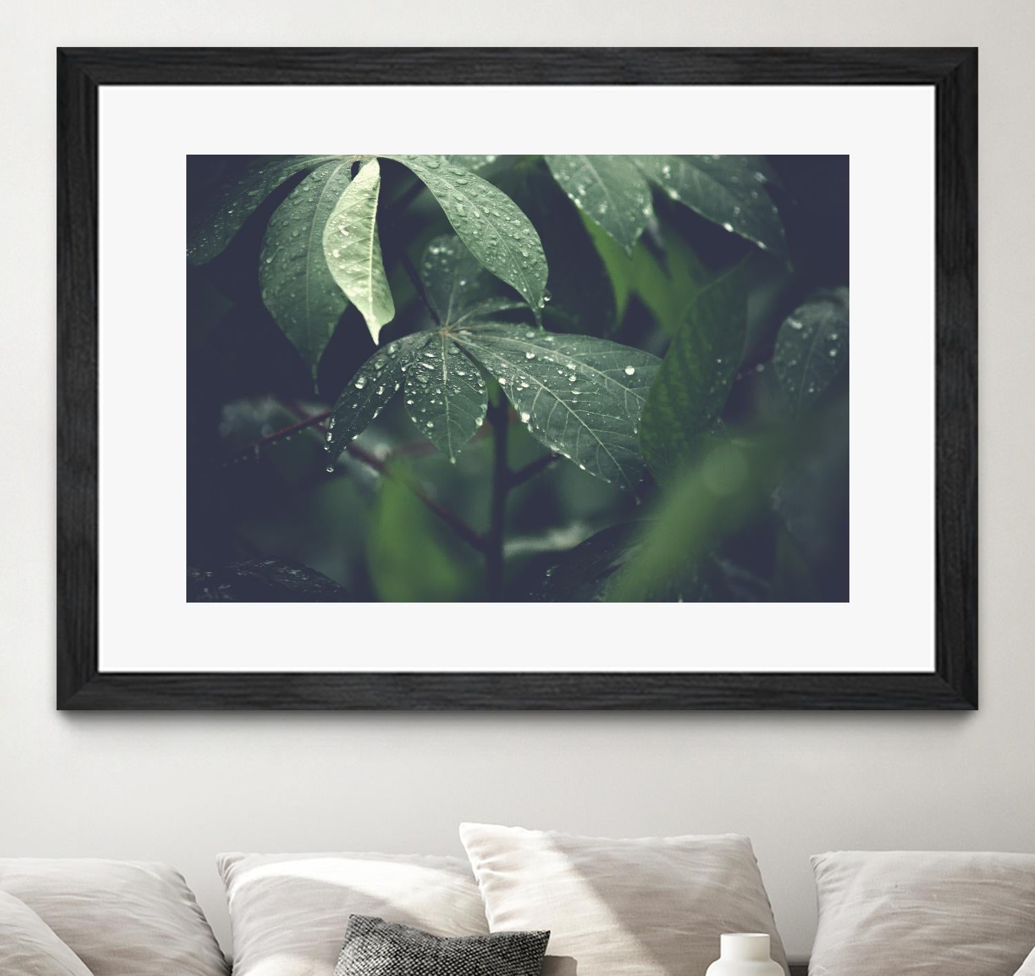 Leaves by Pexels on GIANT ART - black botany