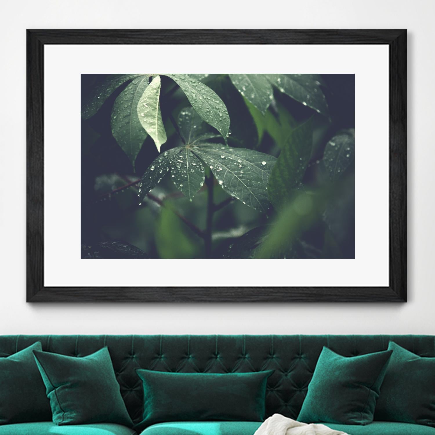Leaves by Pexels on GIANT ART - black botany