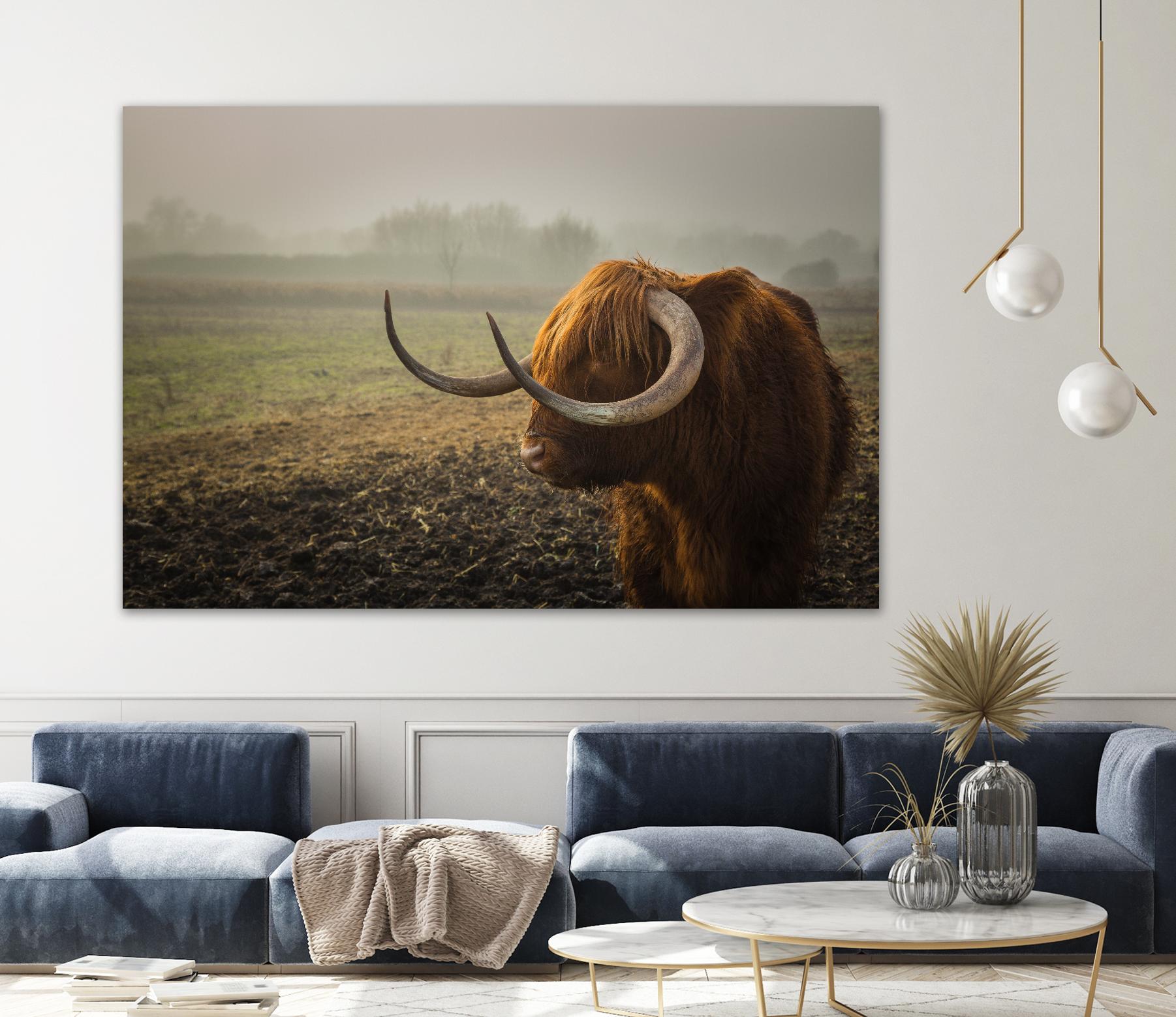 Longhorn by Pexels on GIANT ART - green animals