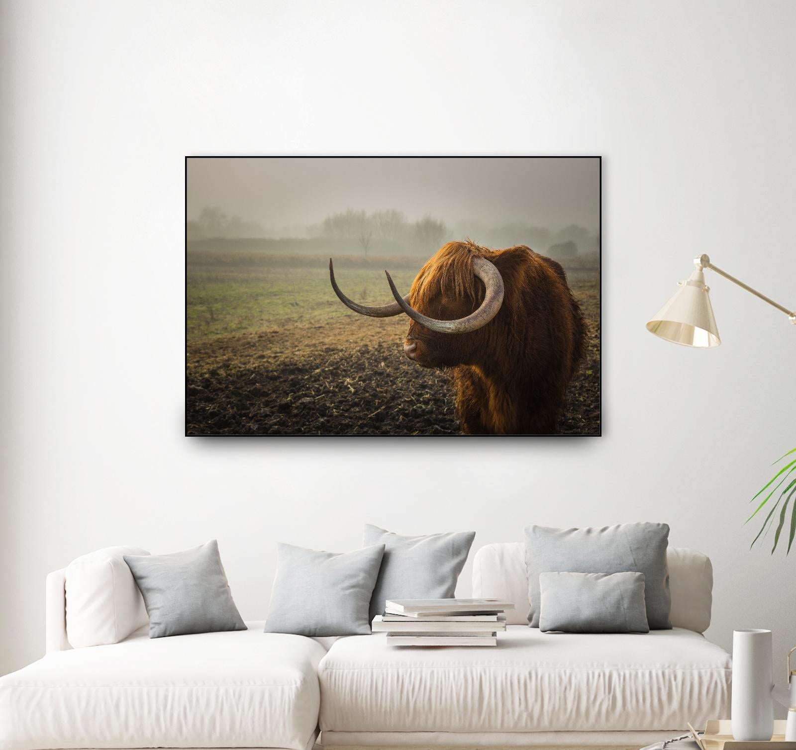 Longhorn by Pexels on GIANT ART - green animals
