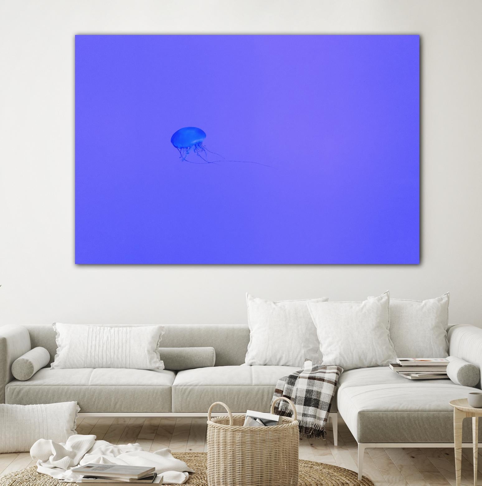 Jellyfish Jam by Pexels on GIANT ART - purple animals