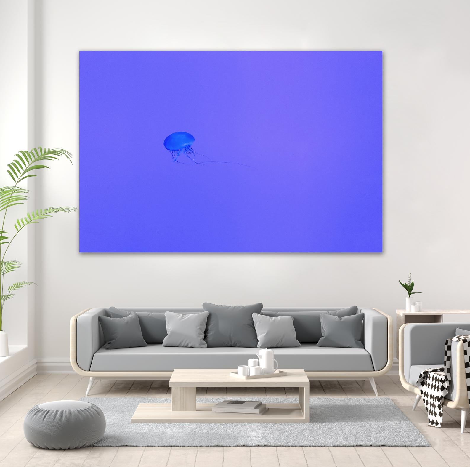 Jellyfish Jam by Pexels on GIANT ART - purple animals