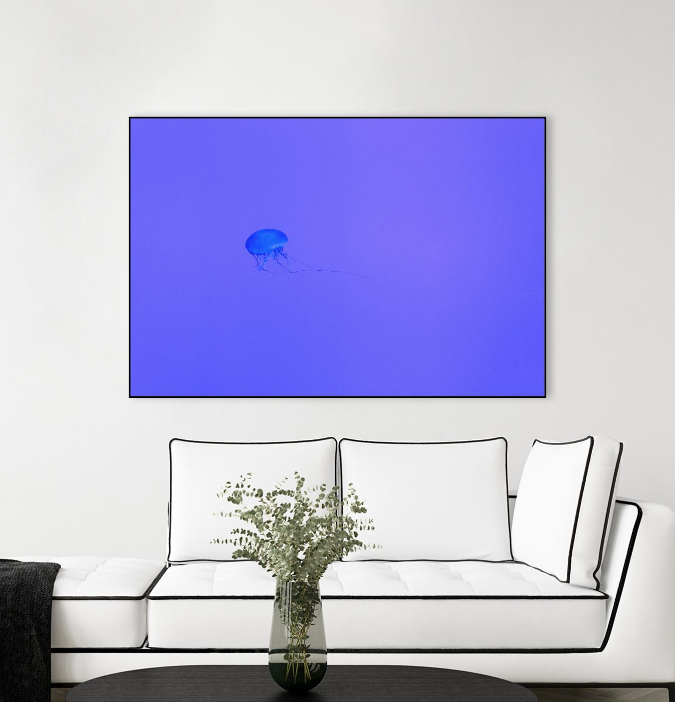 Jellyfish Jam by Pexels on GIANT ART - purple animals