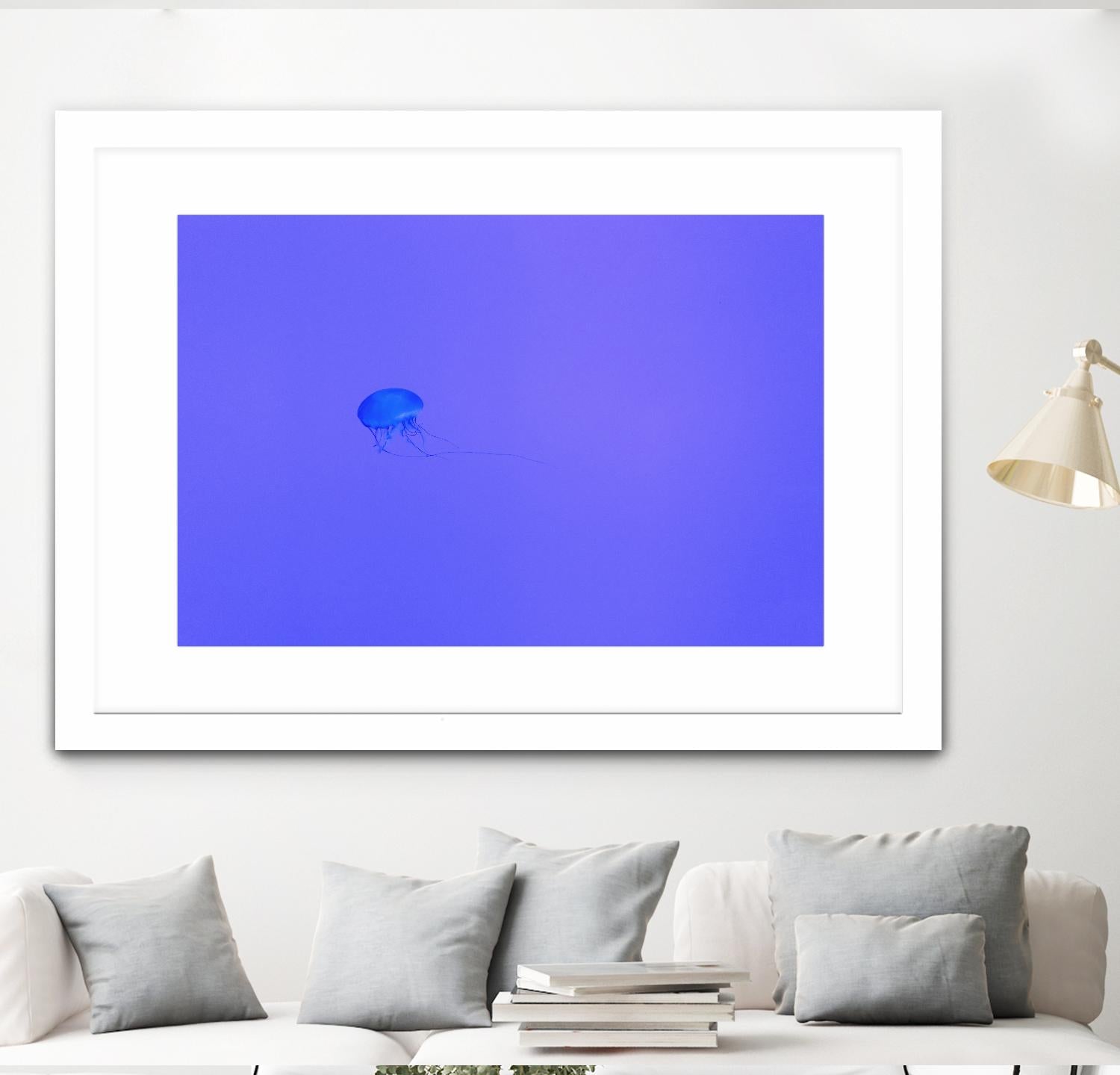 Jellyfish Jam by Pexels on GIANT ART - purple animals