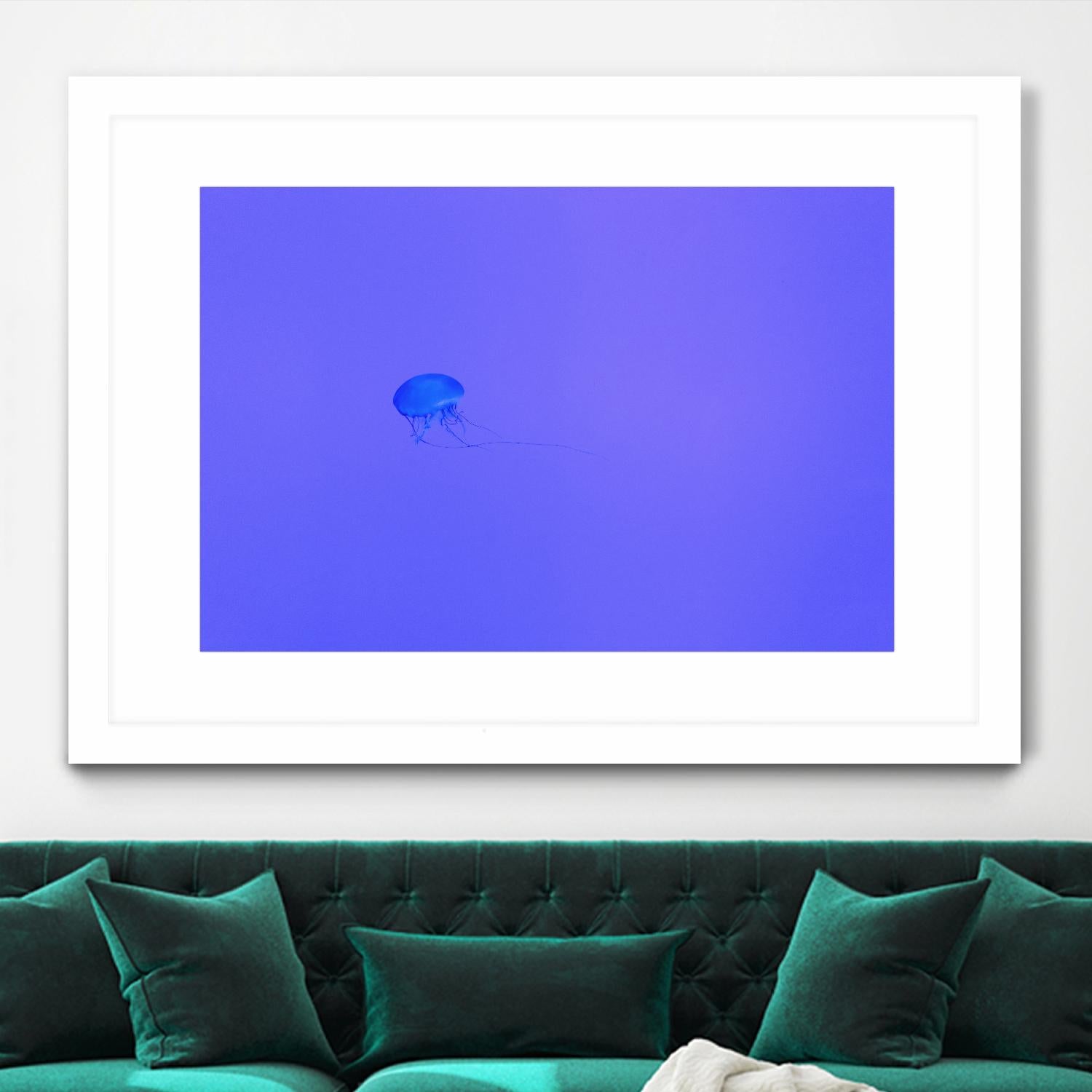 Jellyfish Jam by Pexels on GIANT ART - purple animals