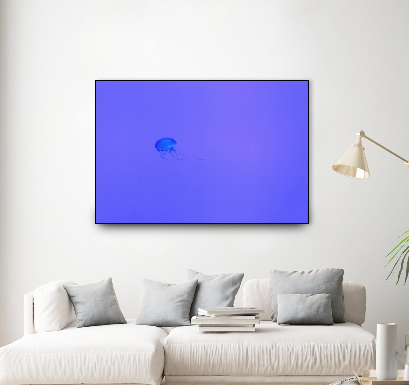 Jellyfish Jam by Pexels on GIANT ART - purple animals