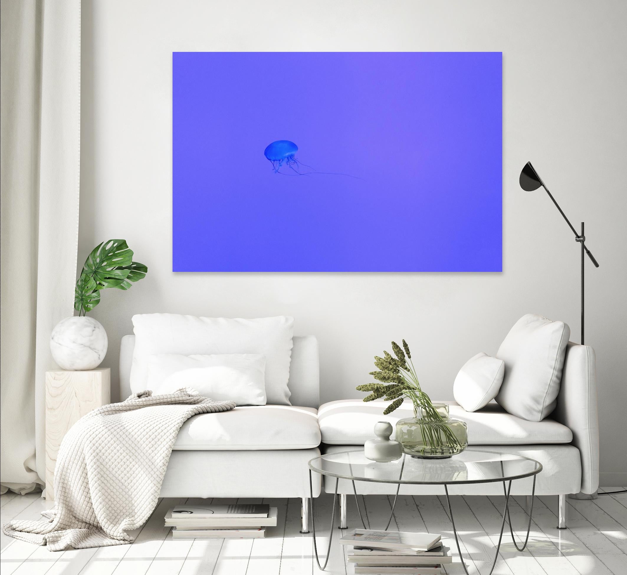 Jellyfish Jam by Pexels on GIANT ART - purple animals