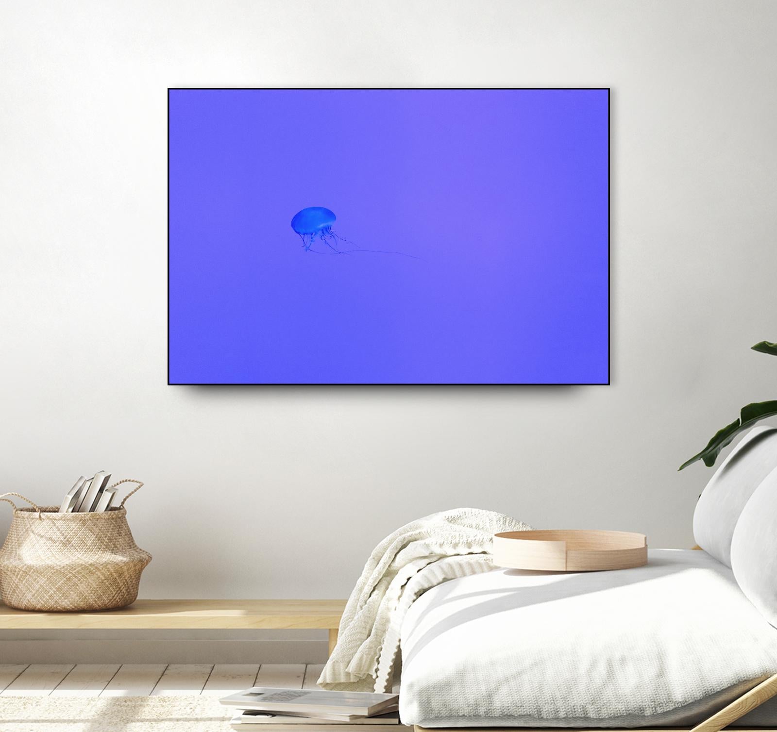 Jellyfish Jam by Pexels on GIANT ART - purple animals