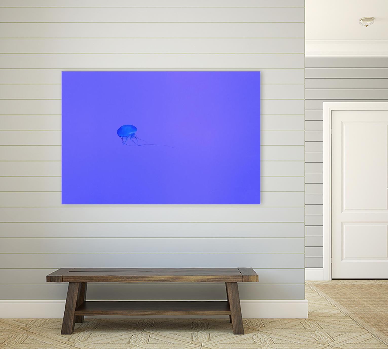 Jellyfish Jam by Pexels on GIANT ART - purple animals