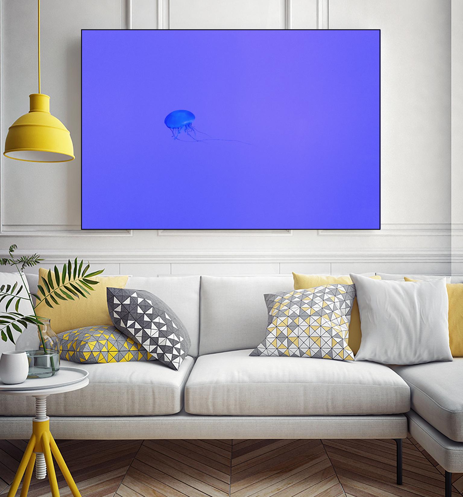 Jellyfish Jam by Pexels on GIANT ART - purple animals