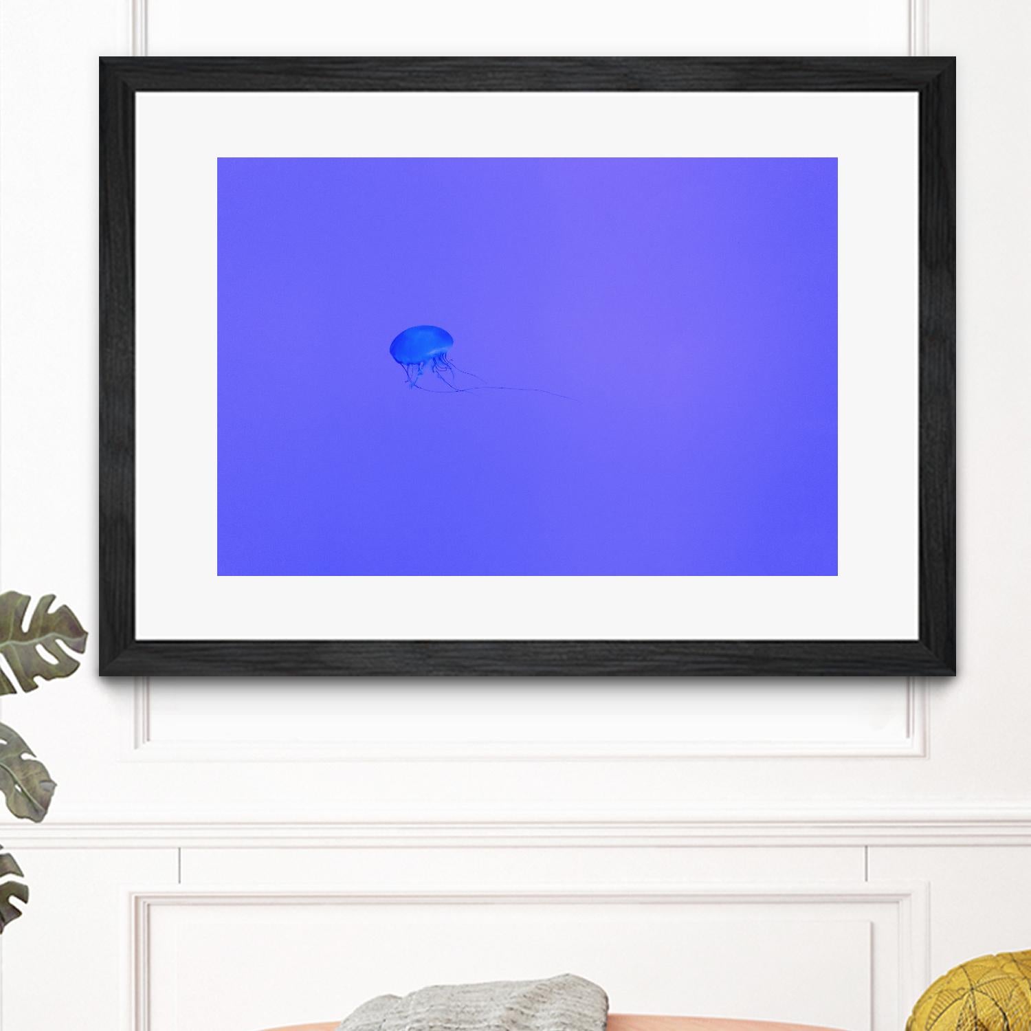 Jellyfish Jam by Pexels on GIANT ART - purple animals