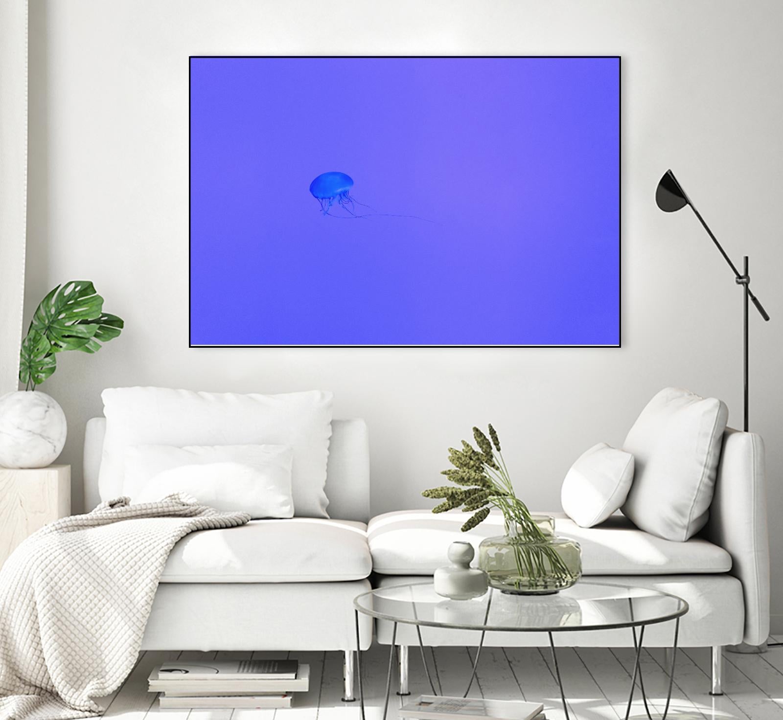 Jellyfish Jam by Pexels on GIANT ART - purple animals