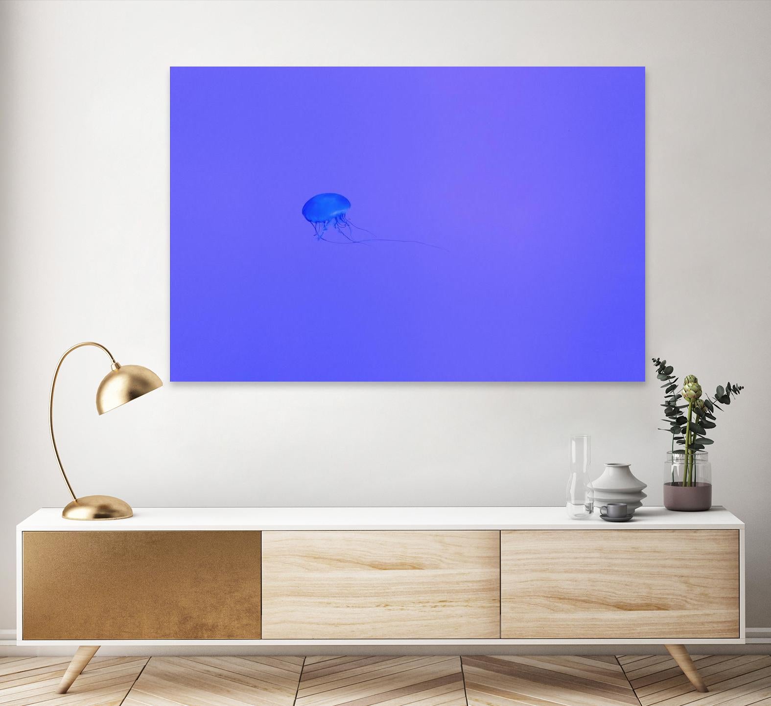 Jellyfish Jam by Pexels on GIANT ART - purple animals