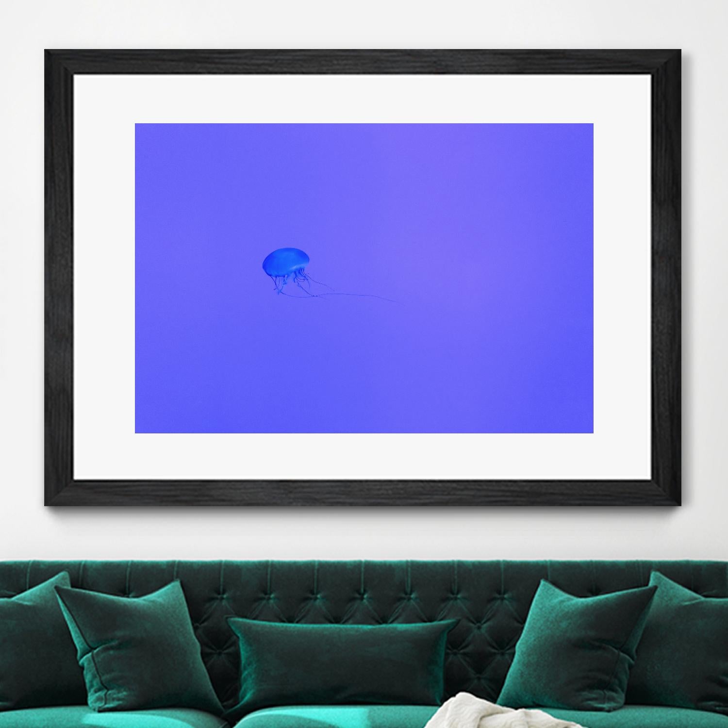 Jellyfish Jam by Pexels on GIANT ART - purple animals