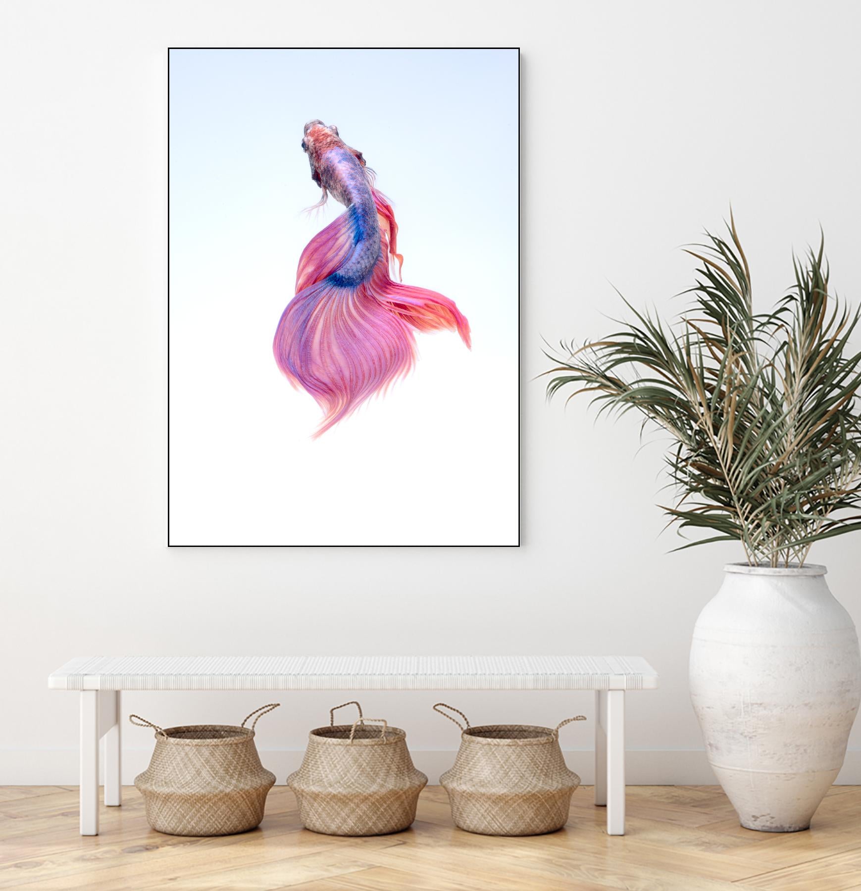 Pretty by Pexels on GIANT ART - blue animals