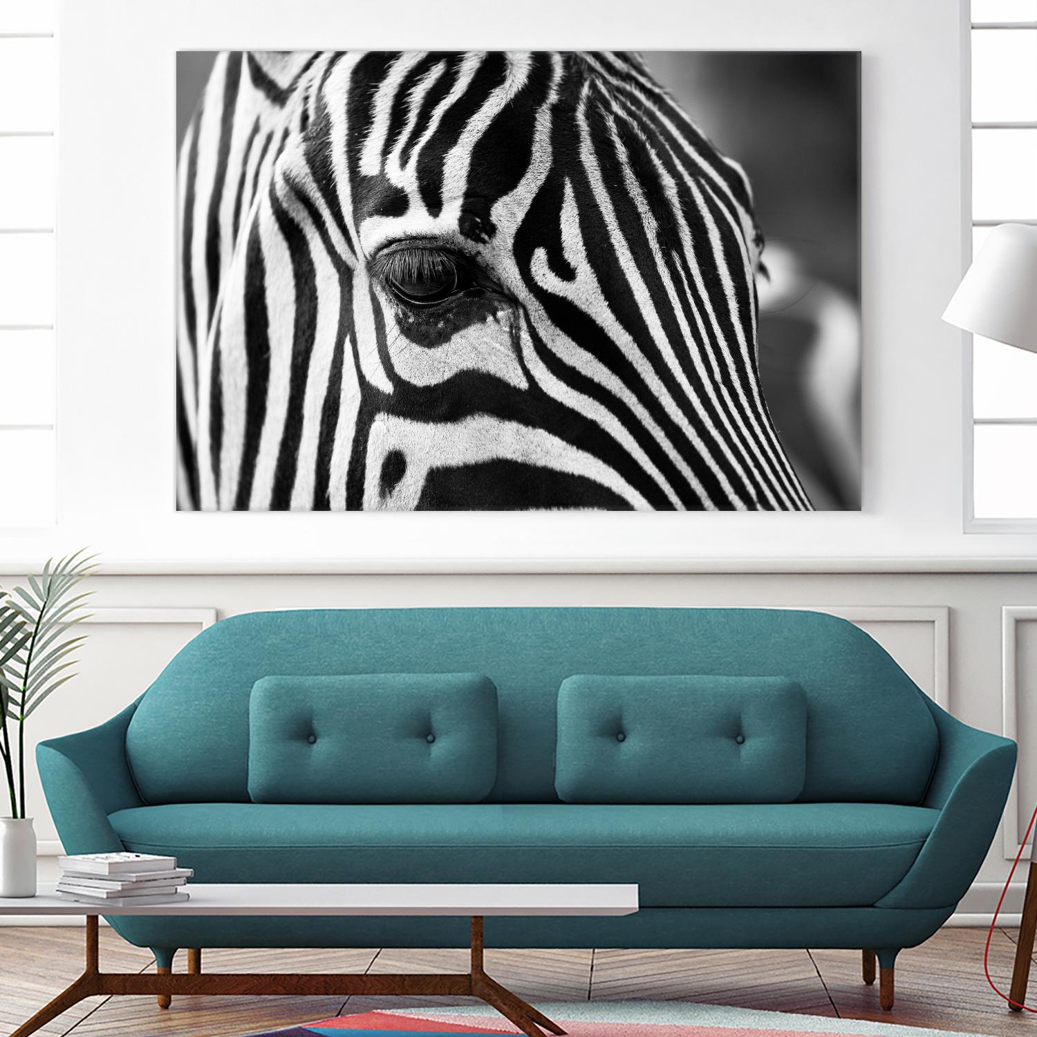Zoomed Zebra by Pexels on GIANT ART - white animals