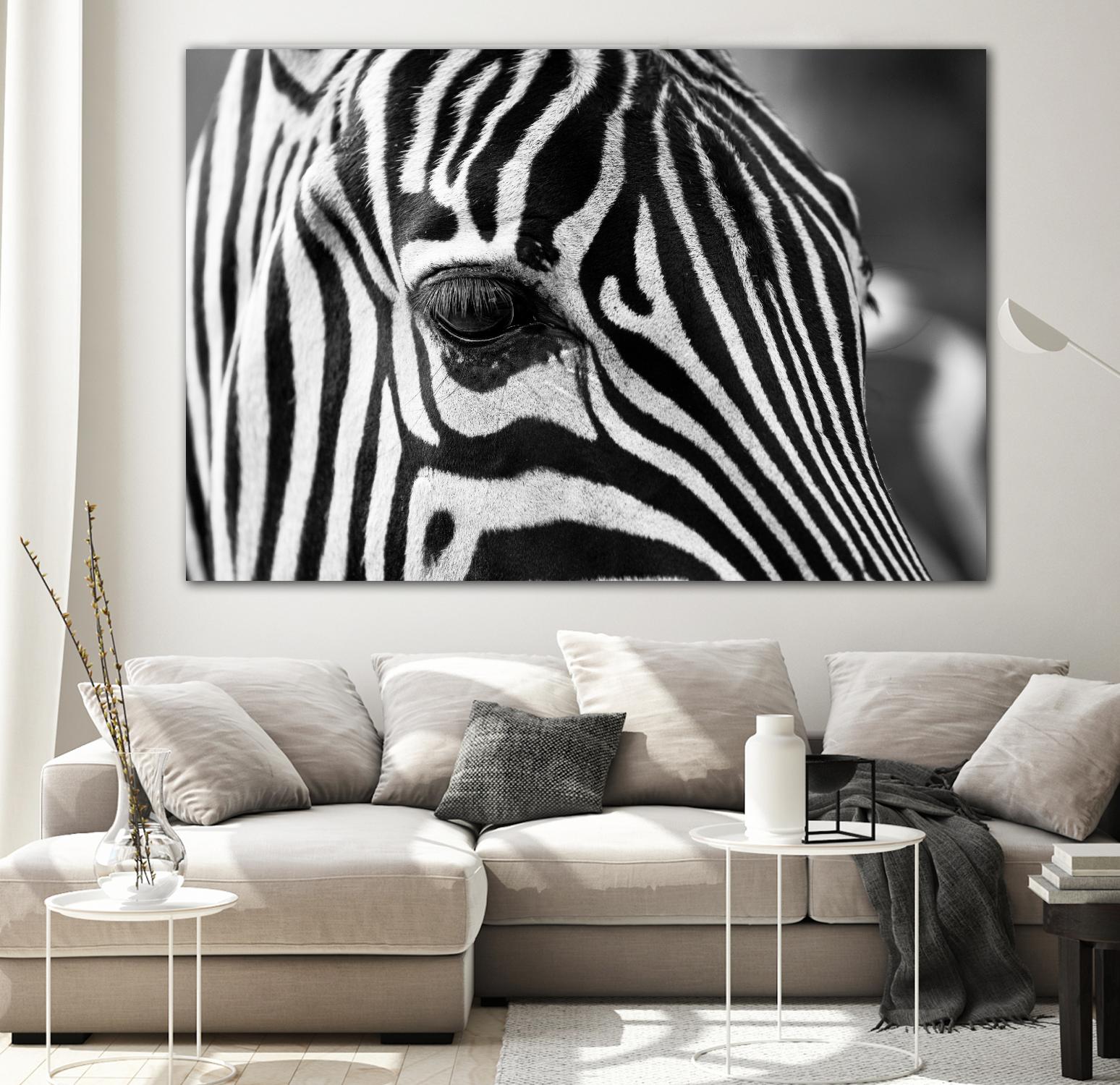 Zoomed Zebra by Pexels on GIANT ART - white animals