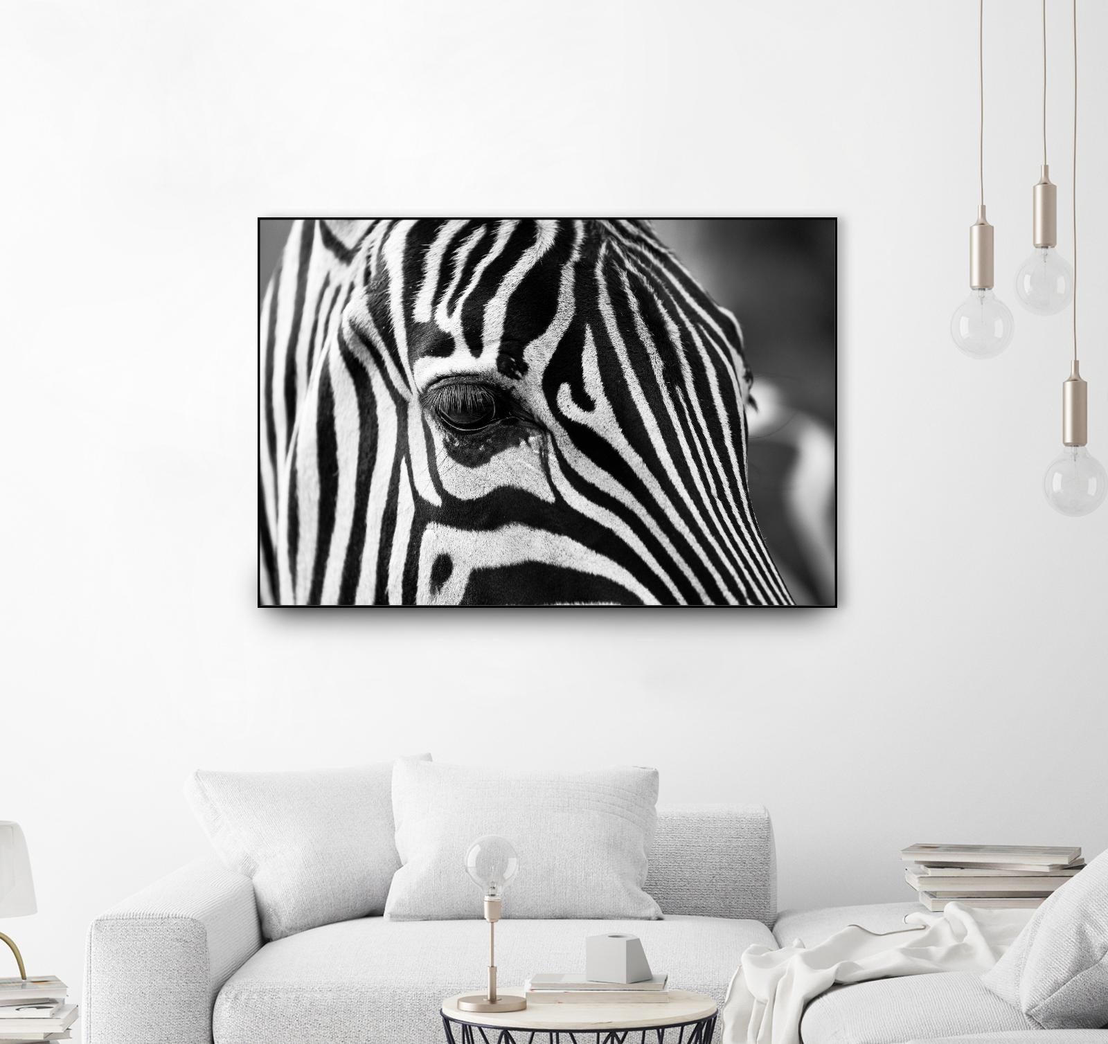 Zoomed Zebra by Pexels on GIANT ART - white animals