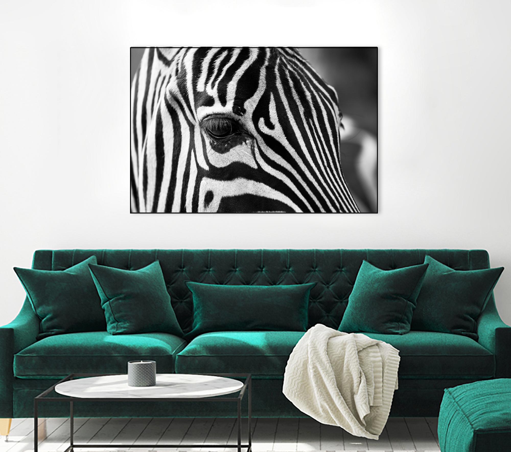 Zoomed Zebra by Pexels on GIANT ART - white animals