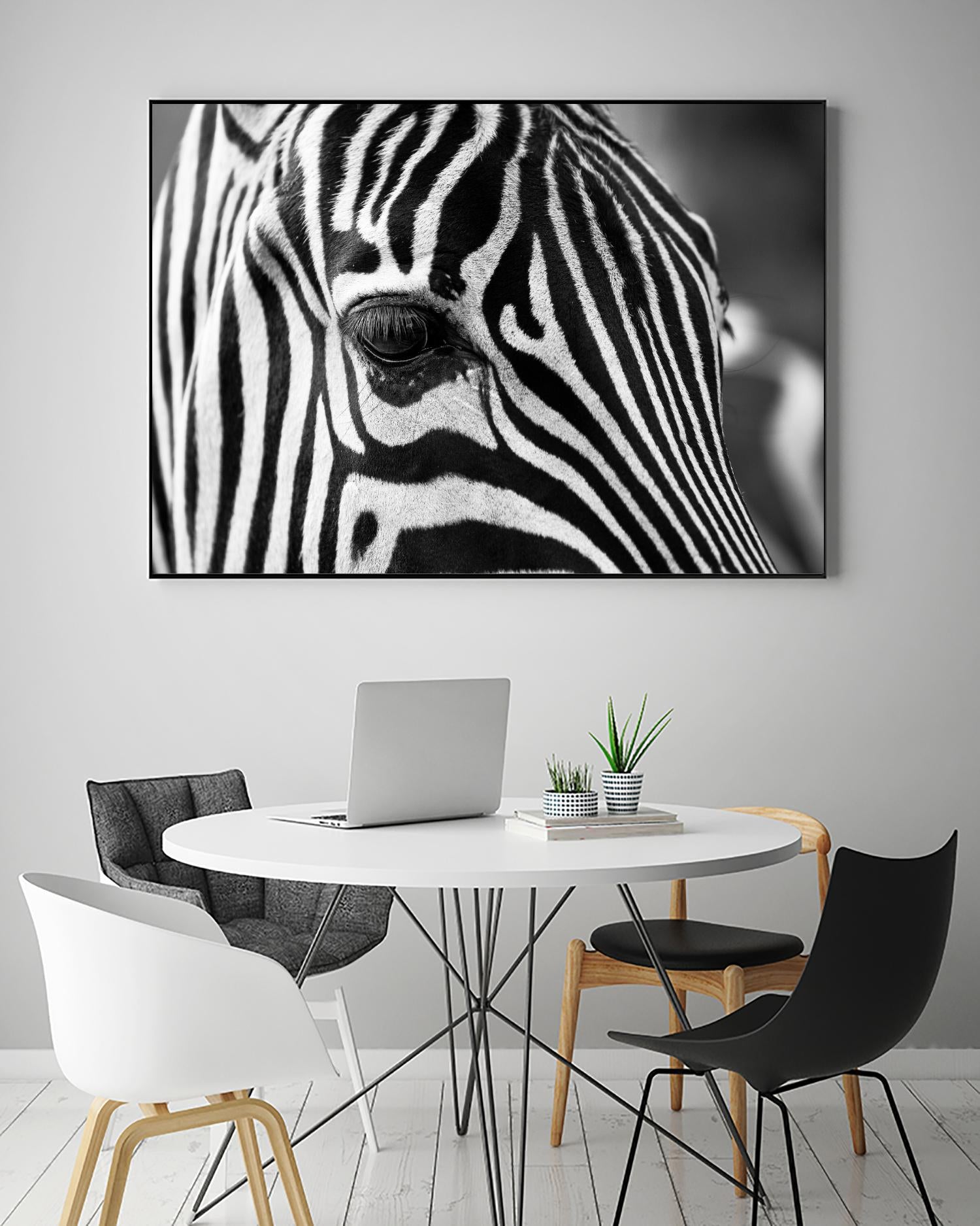 Zoomed Zebra by Pexels on GIANT ART - white animals