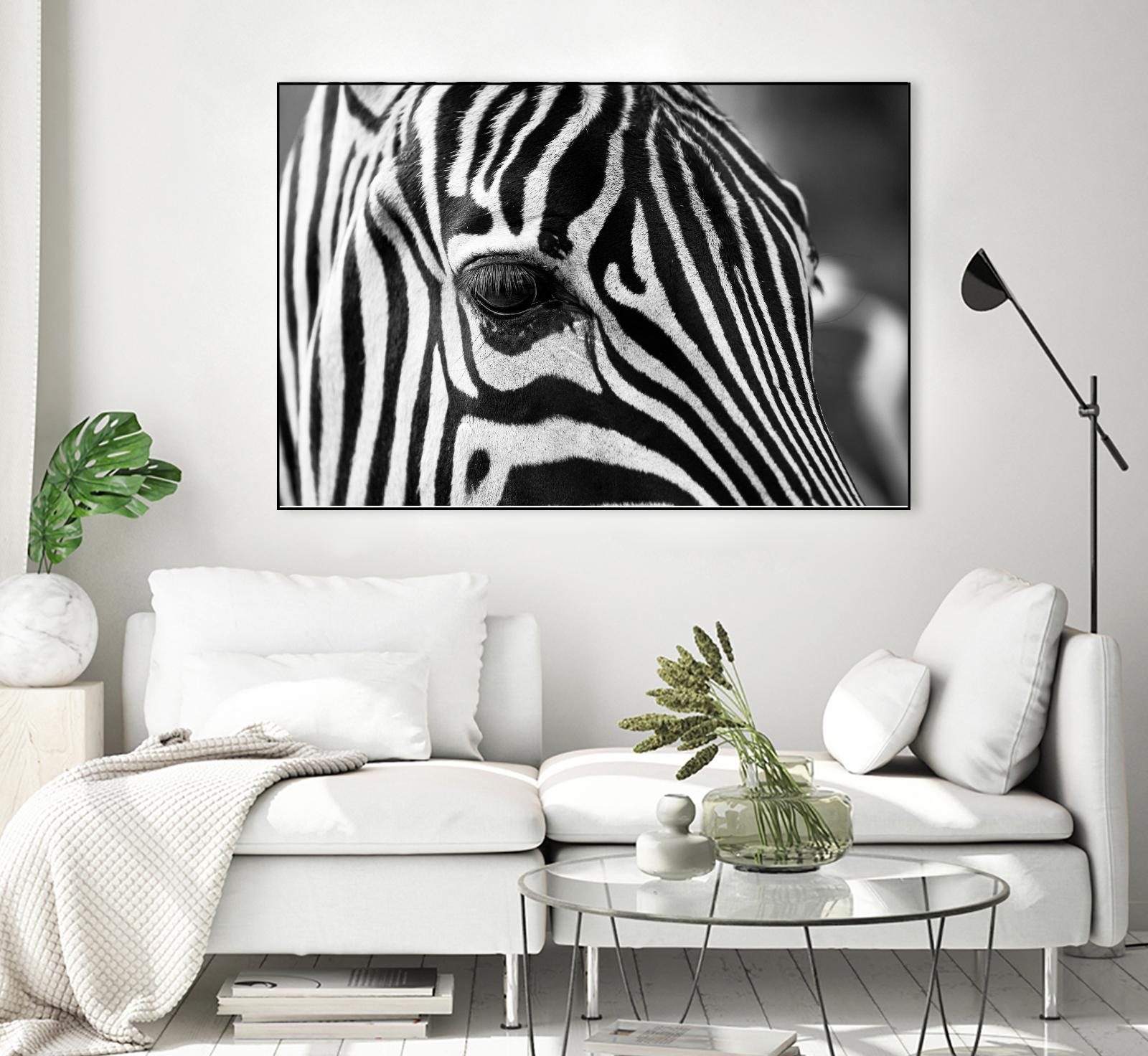Zoomed Zebra by Pexels on GIANT ART - white animals