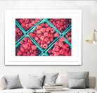 Raspberries by Pexels on GIANT ART - blue fruit-food-drink