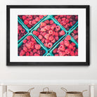 Raspberries by Pexels on GIANT ART - blue fruit-food-drink