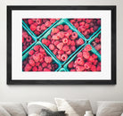 Raspberries by Pexels on GIANT ART - blue fruit-food-drink