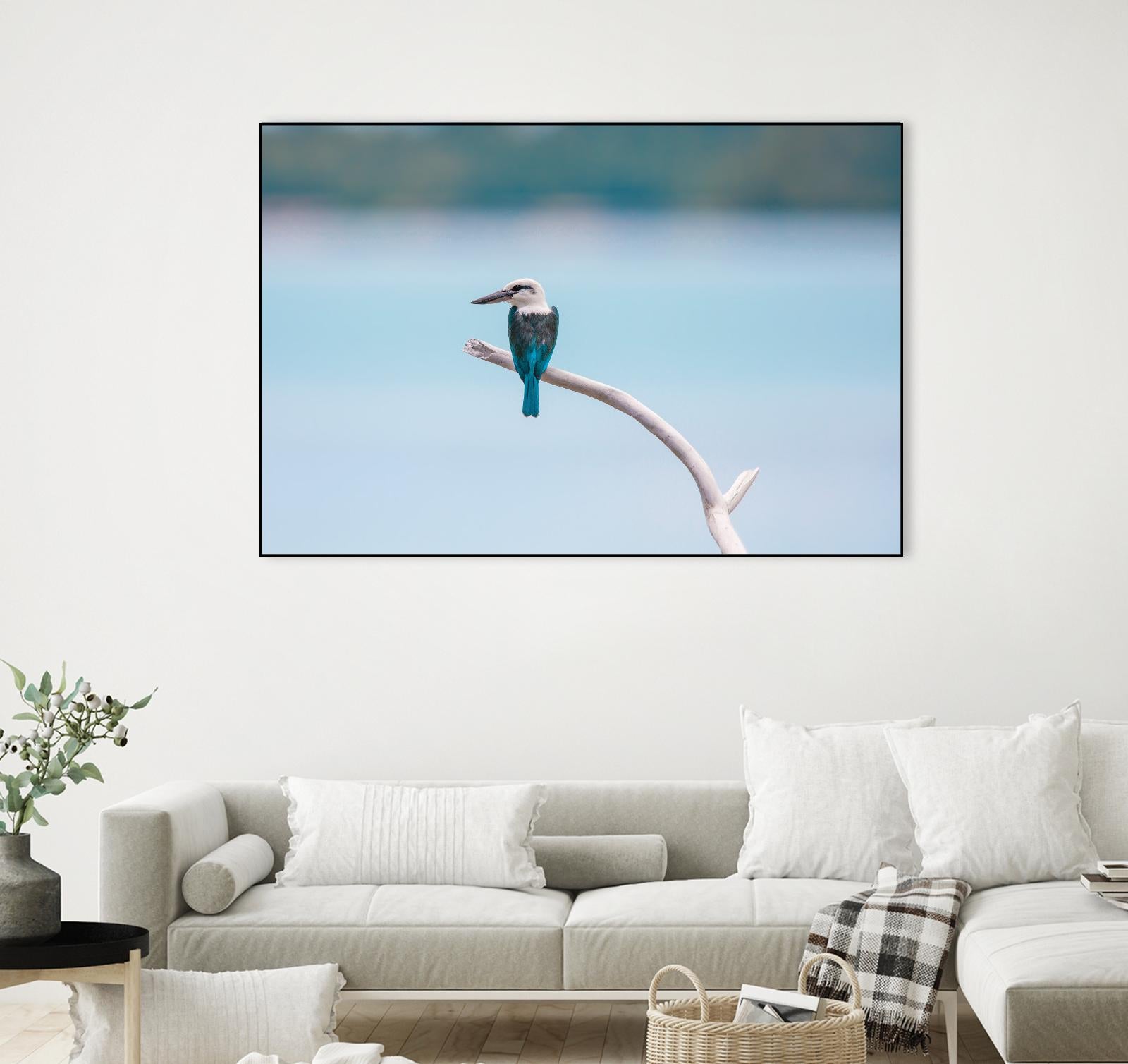 Bird on a branch by Pexels on GIANT ART - white animals