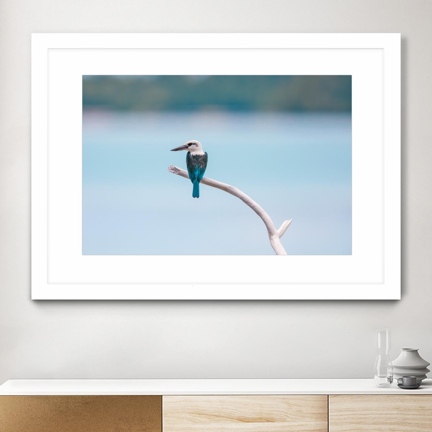 Bird on a branch by Pexels on GIANT ART - white animals