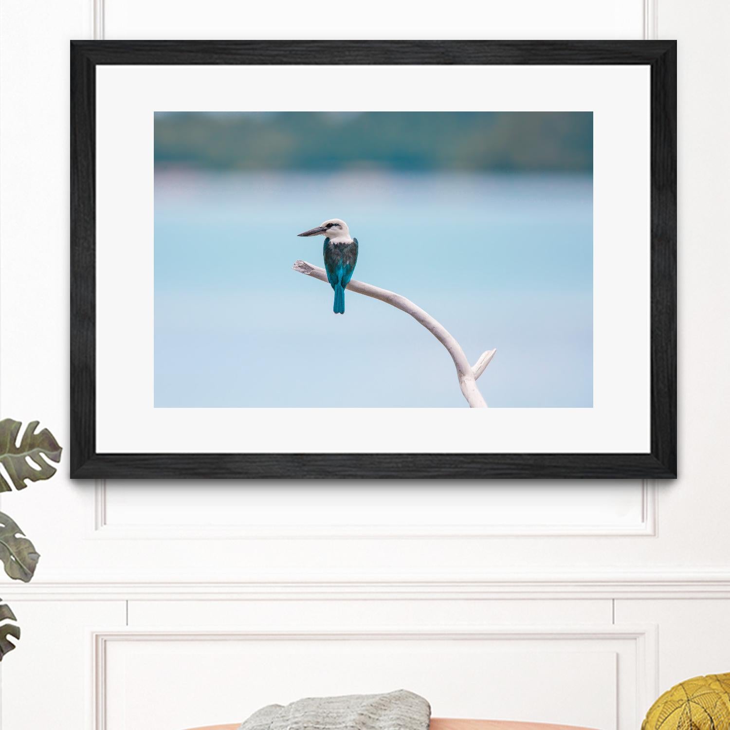 Bird on a branch by Pexels on GIANT ART - white animals